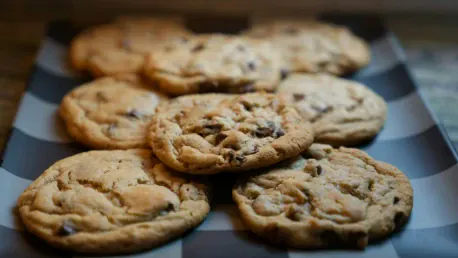 How Do Websites Use Cookies to Enhance User Privacy and Experience?